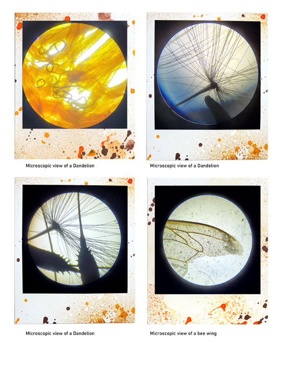 Beautiful 3 - ADD ON - Polaroid images -digital download