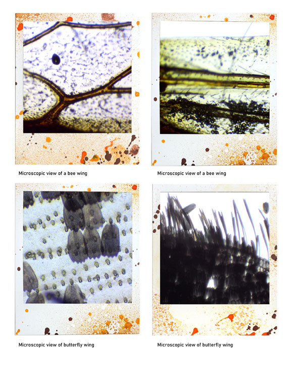 Beautiful 3 - ADD ON - Polaroid images -digital download