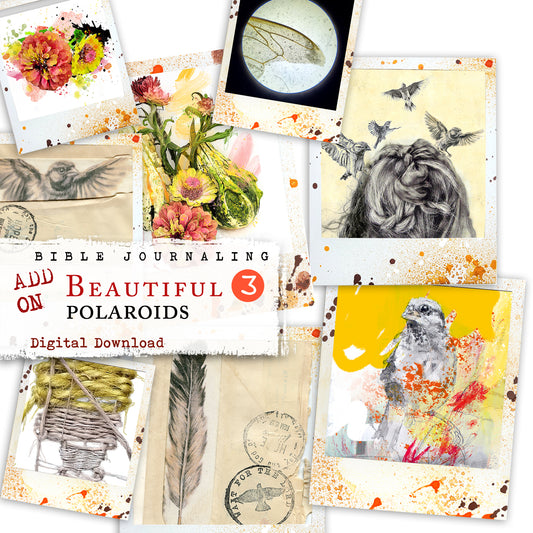 Beautiful 3 -  ADD ON - Polaroid images -digital download