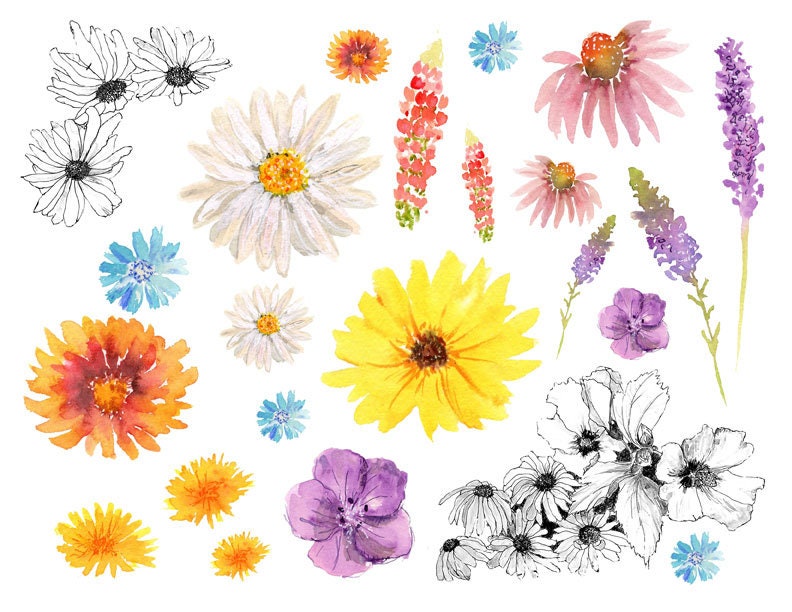 Homebound - a Bible journaling creative devotional -digital download