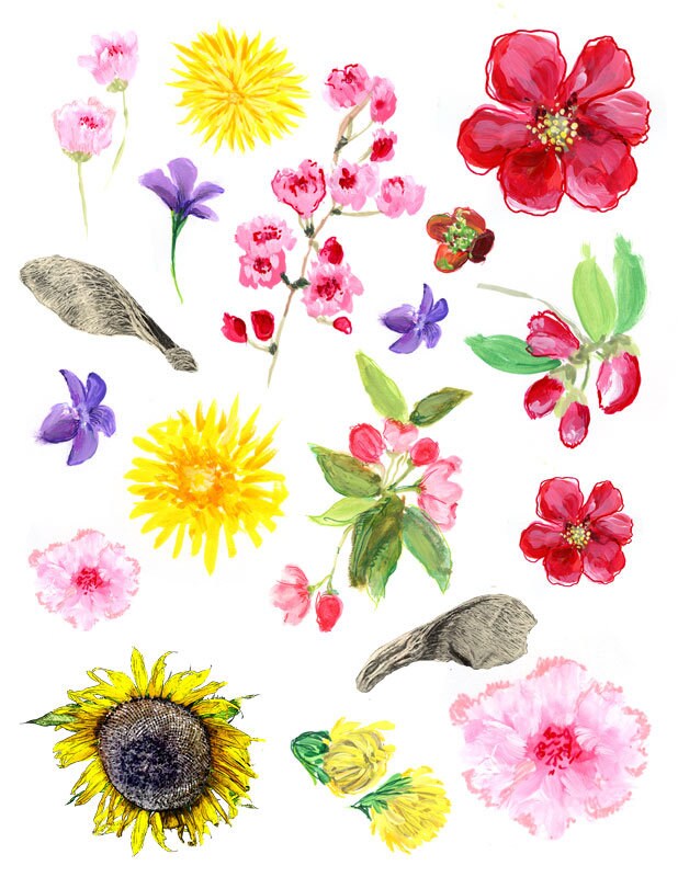 Seeds of Hope- a creative bible study, Bible journaling creative devotional - digital download