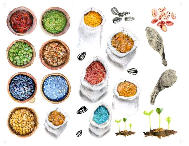 Seeds of Hope- a creative bible study, Bible journaling creative devotional - digital download