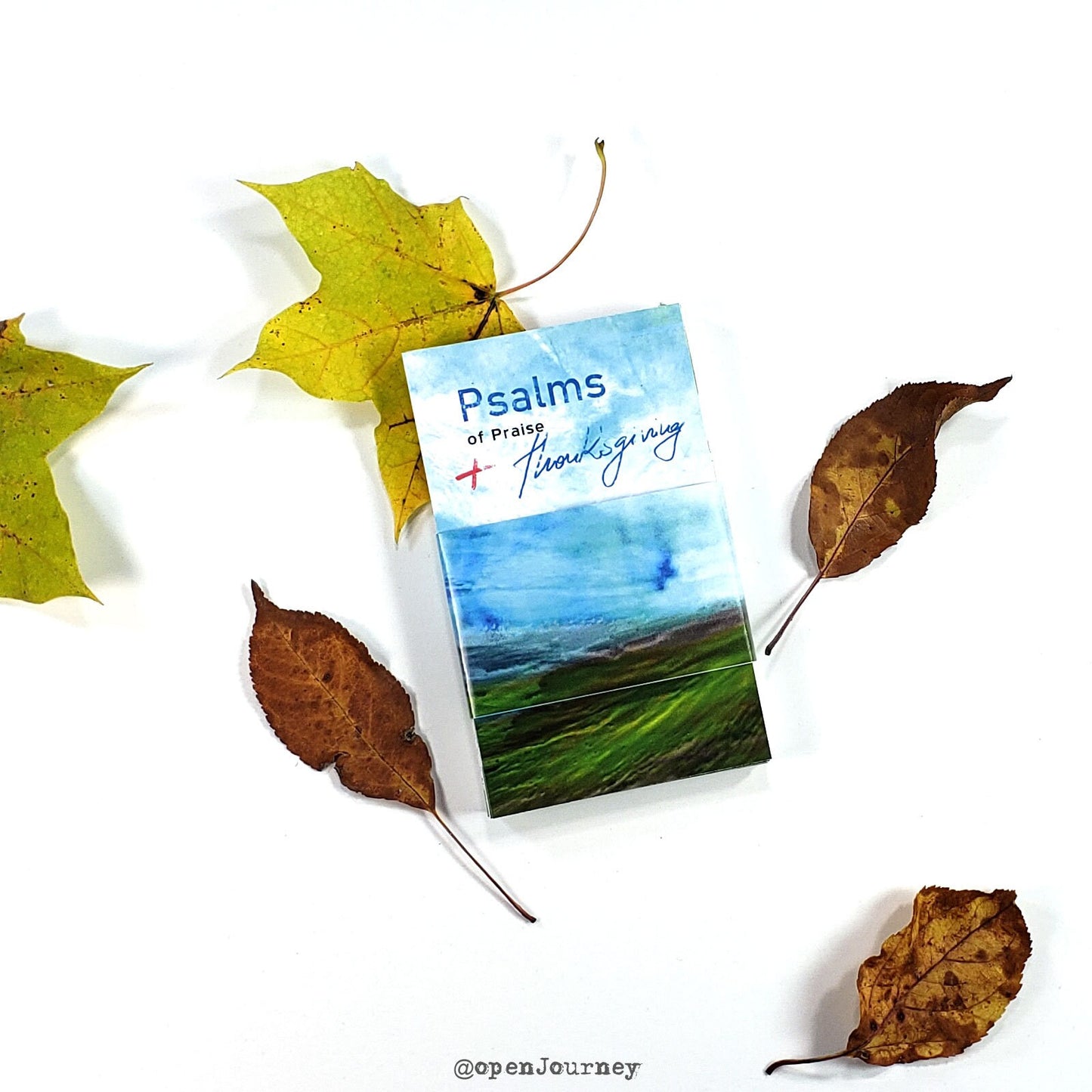 Psalms of Praise and Thanksgiving - set of 40 Bible verse cards