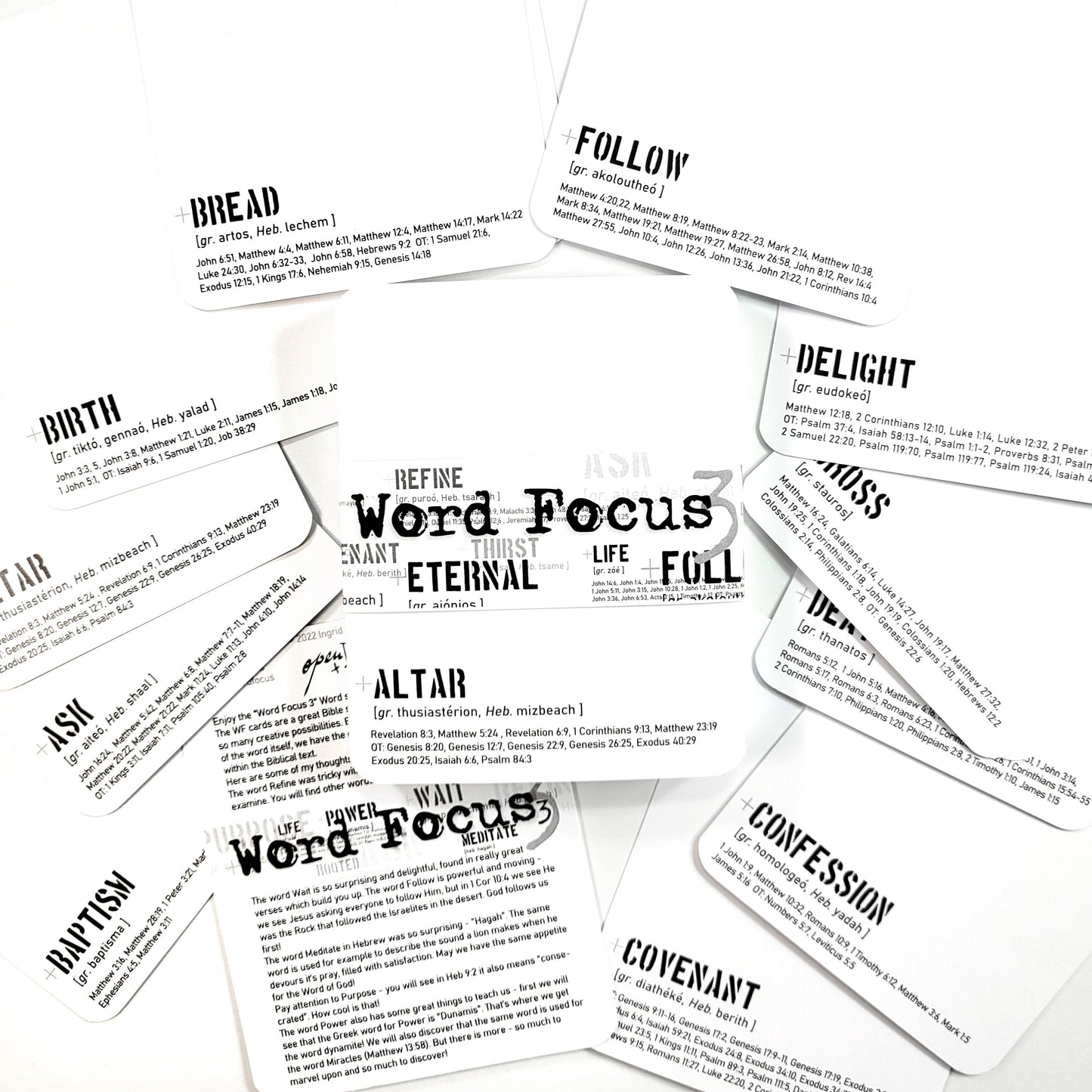 Word Focus 3 - 40 LARGE Word study journaling card set