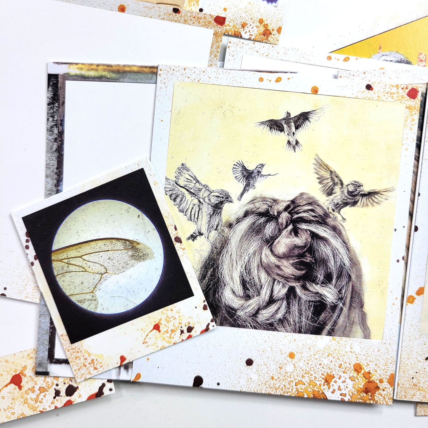 Beautiful 3- Beauty of Small Things kit ADD ON - Polaroid images and blank frames