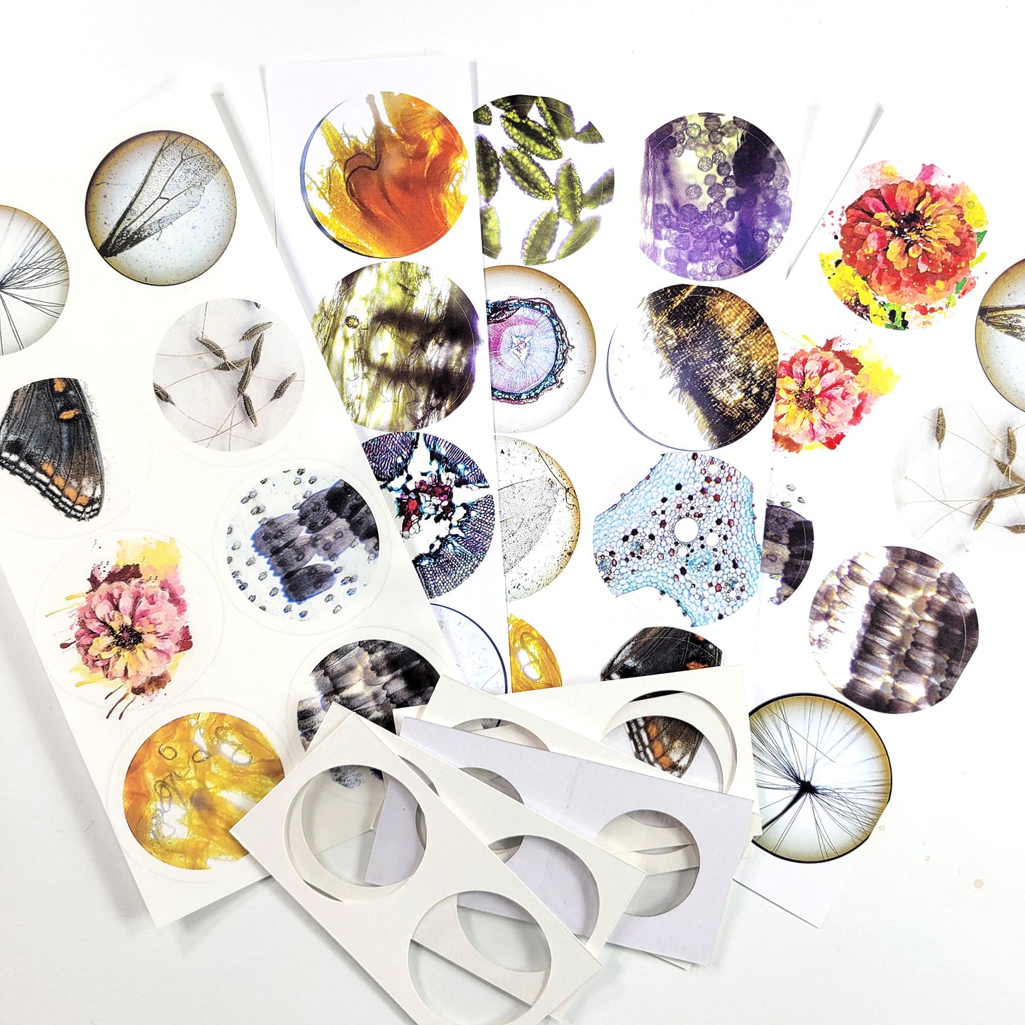 Beautiful 3 - ADD ON Specimen slide making kit and circular stickers