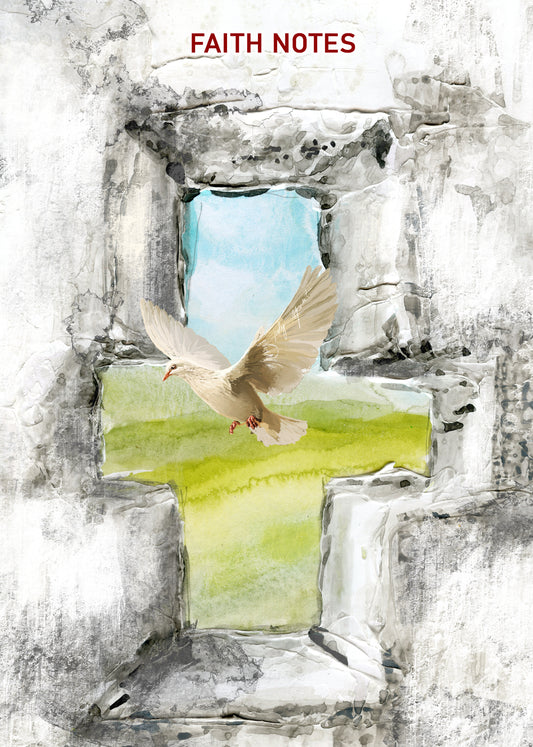 FAITH NOTES - SUBSCRIPTION kit