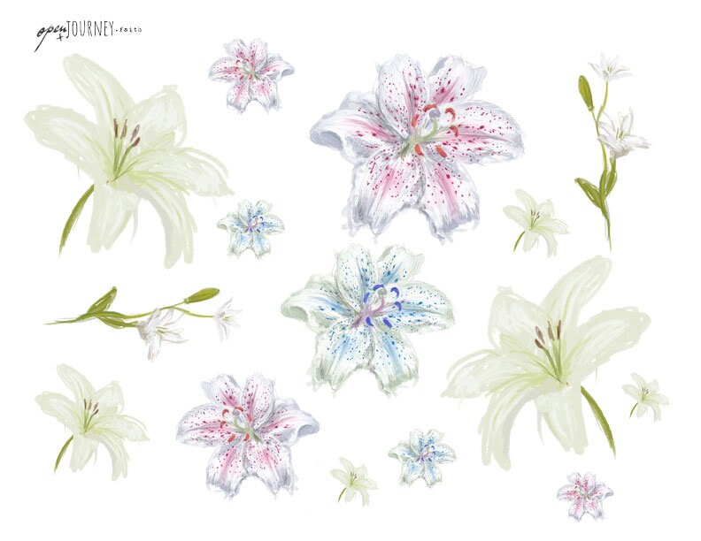 Floral Illustrations - Lilies - digital download for bible journaling, card making and craft