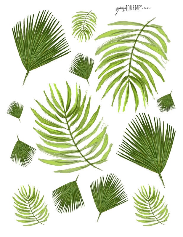 Palm leaves Illustrations - digital download for bible journaling, card making and craft