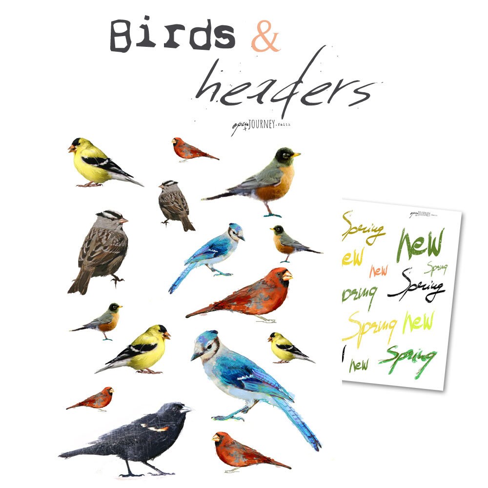Birds and headers illustrations - digital download for bible journaling, card making and craft