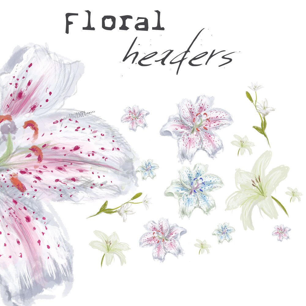 Floral Illustrations - Lilies - digital download for bible journaling, card making and craft